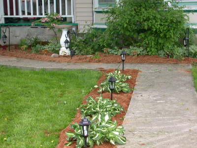 LandscapeLightsMulched